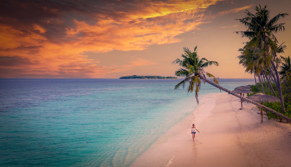 maldive palma e tramonto