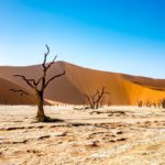 capodanno in namibia