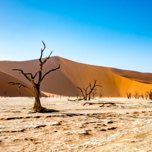 Capodanno in Namibia 2025 – “Tour Amazing” Namibia e “Namibia Adventure” Namibia – Partenza del 26 dicembre da Roma STOP SALE