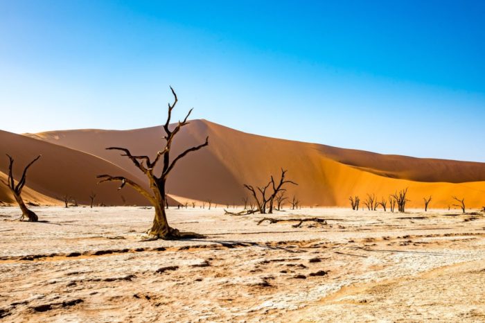 Capodanno in Namibia 2024 – Namibia Adventure – 26 dicembre