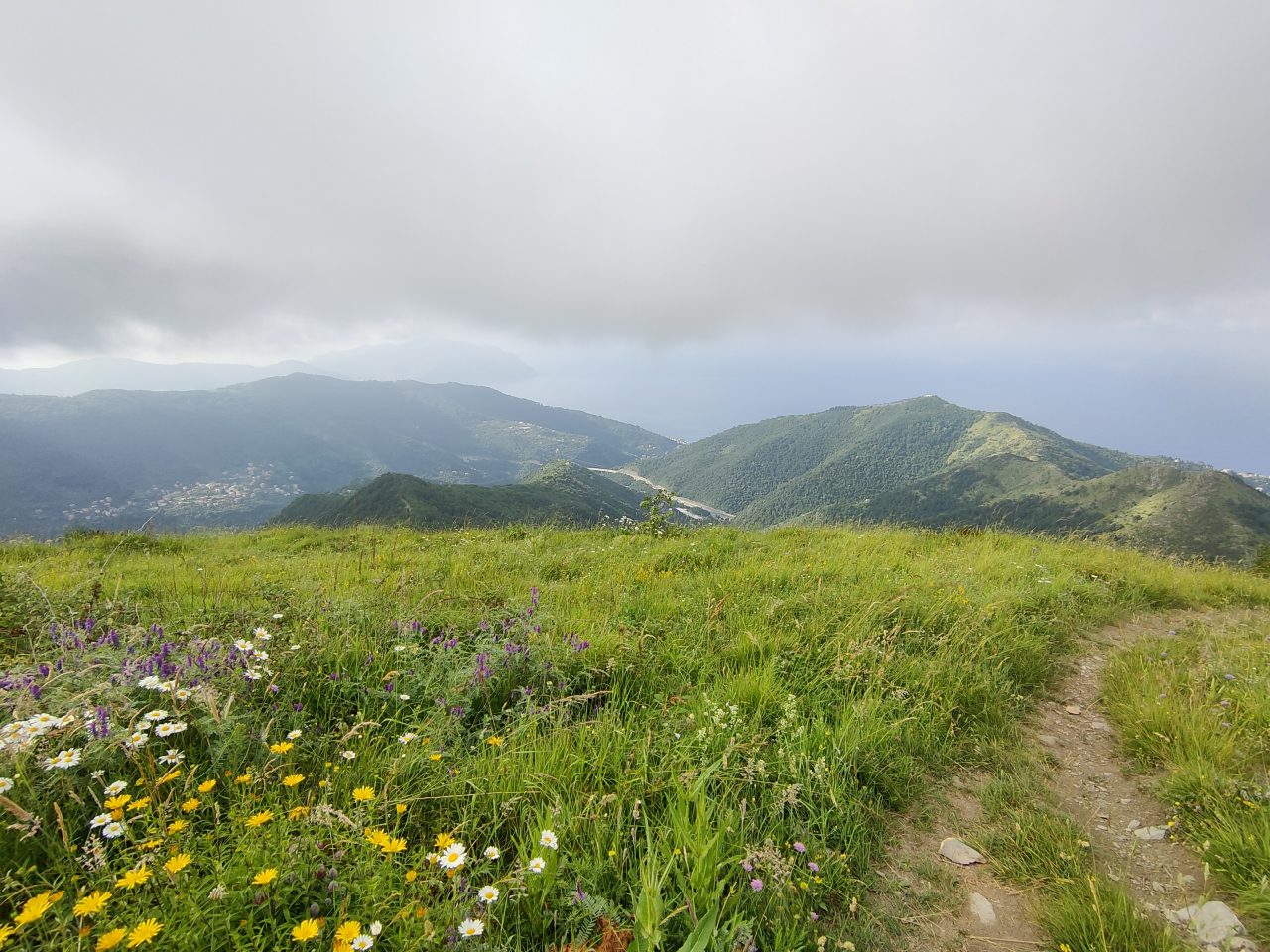 nel cuore del bosco interiore