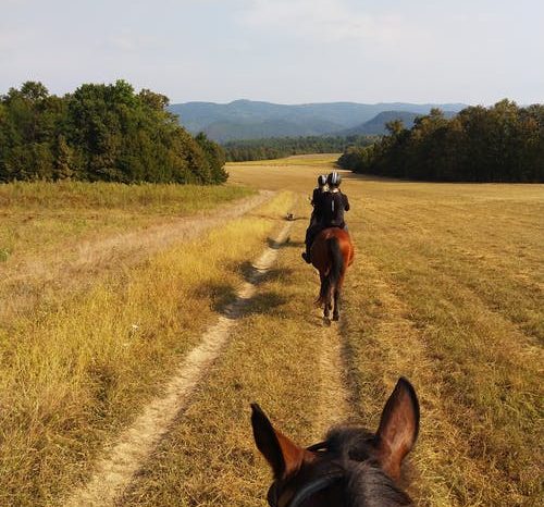 Cavalcando: CAMPUS “EQUESTRE” PER RAGAZZI – ESCLUSIVA CAVALCANDO BY GENOVAGANDO