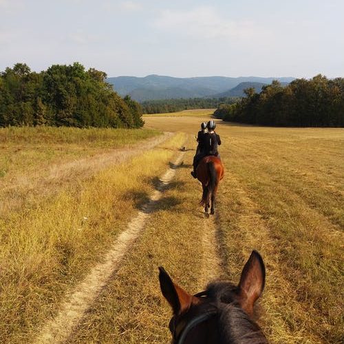 Cavalcando: CAMPUS “EQUESTRE” PER RAGAZZI – ESCLUSIVA CAVALCANDO BY GENOVAGANDO