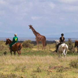 Cavalcando: Tanzania, safari a cavallo nel parco nazionale di Arusha