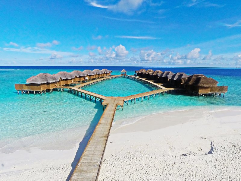 maldive club settemari