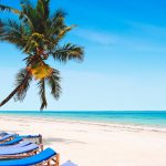 vacanze 2021 Blu Marlin Beach Resort TANZANIA, ZANZIBAR, KIWENGWA