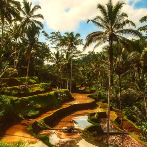 Offerte Bali – Tour Ubud, Lombok e Nusa Dua – Agosto 2025