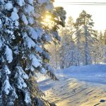 Capodanno nella Lapponia svedese
