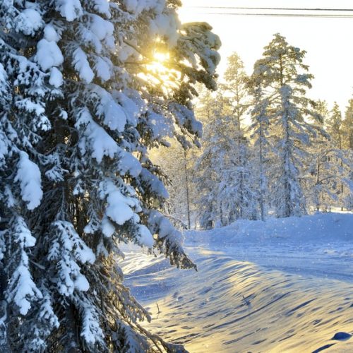 CAPODANNO NELLA LAPPONIA SVEDESE SCONOSCIUTA CON ACCOMPAGNATORE… ma non solo – HAPARANDA – Tra le nevi della Lapponia svedese. STOP SALE