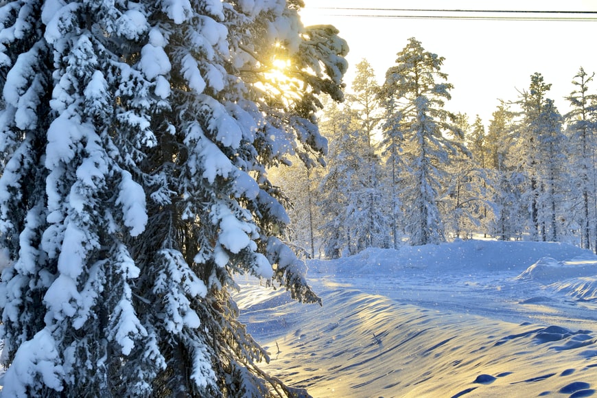 Capodanno nella Lapponia svedese