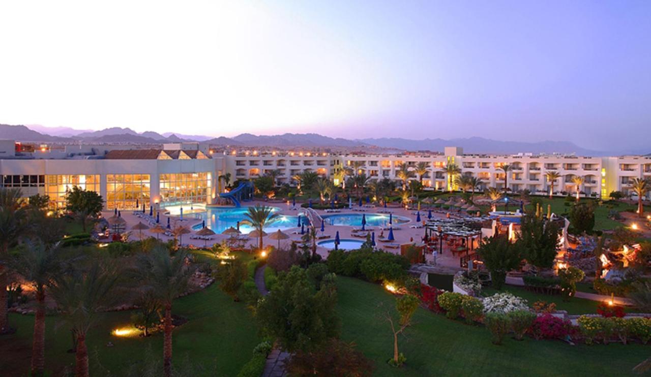 aurora sharm