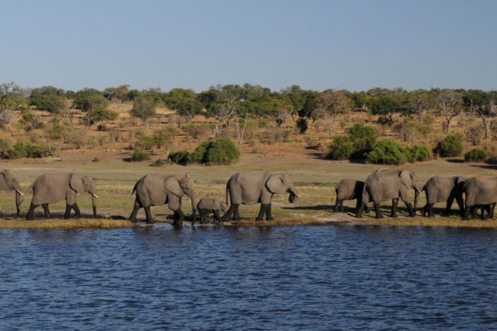 Offerta Botswana – Glamping Safari