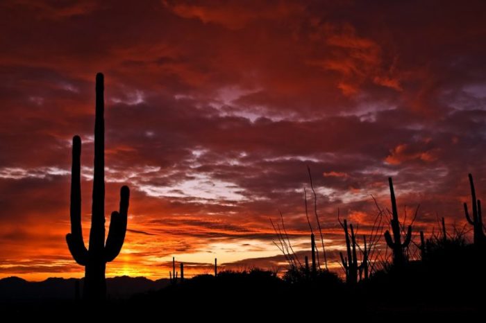 Fly and drive Stati Uniti – Itinerario: Cowboy e indiani nel vero West – Partenze fino a giugno 2025