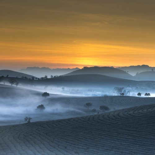 Bagliori d’incenso Vietnam – fino a dicembre 2025