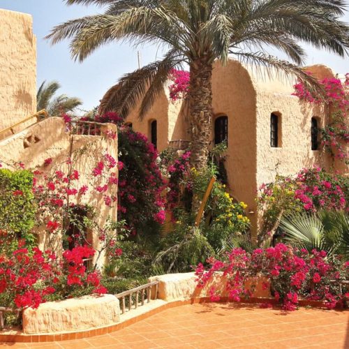 Villaggi Marsa Alam – Dream Lagoon – Mar Rosso – da aprile ad agosto 2025