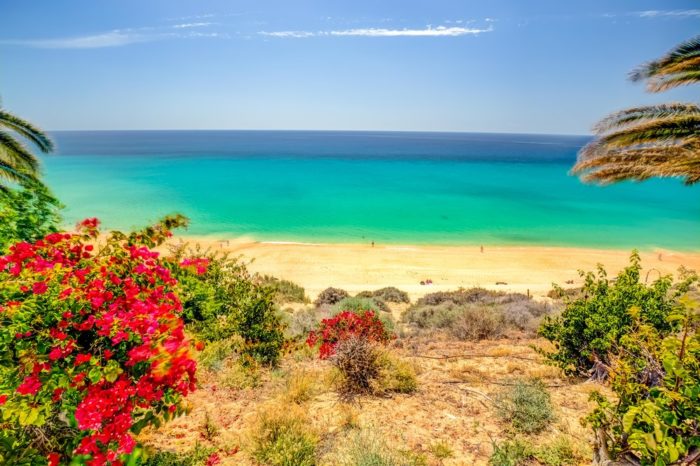 Vacanze Fuerteventura  – SBH Paraiso Playa****