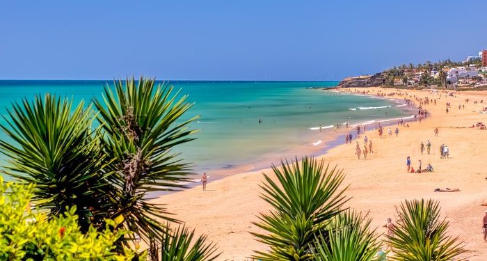 Offerta Canarie – Fuerteventura – da Gennaio ad Aprile 2025