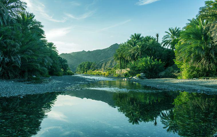 capodanno oman