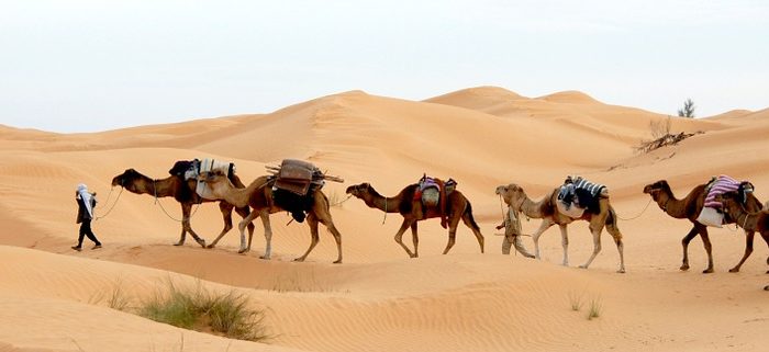 Capodanno in Tunisia 2025 ma non solo – Tour Tunisia, Oasi e Città Romane – Partenze da ottobre fino a Capodanno incluso