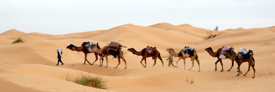 capodanno in tunisia