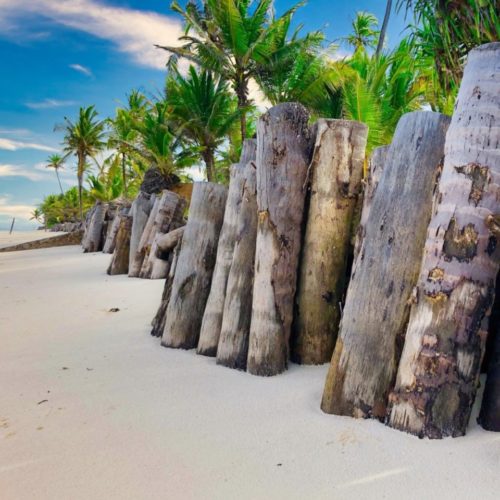 Offerte Zanzibar Dongwe Club – Michamvi – Partenze fino al 16 Dicembre 2025