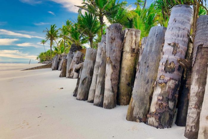 Offerte Zanzibar Dongwe Club – Michamvi – Partenze fino al 16 Dicembre 2025