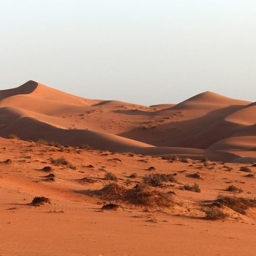Viaggi Oman e Emirati Arabi – 10 giorni