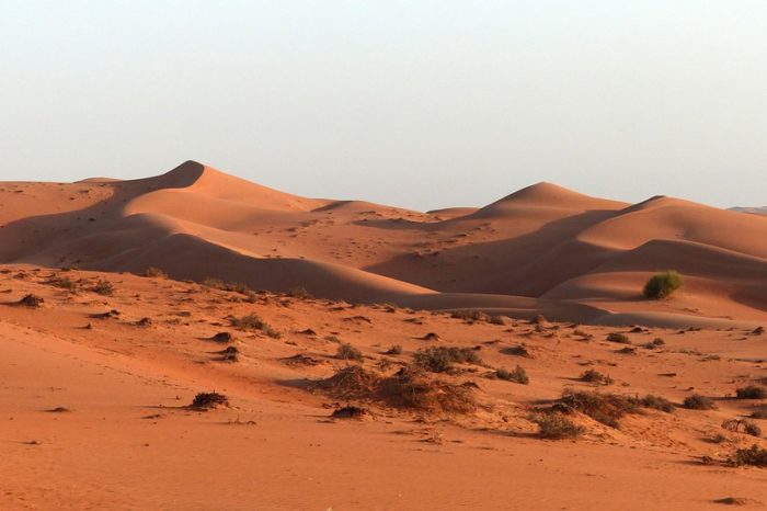 Viaggi Oman e Emirati Arabi – 10 giorni
