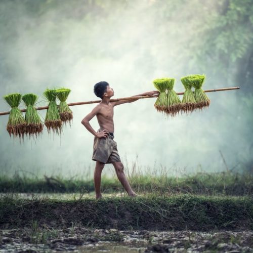 Tour Thailandia e Cambogia: fino a Dicembre 2025 – Partenze a date fisse