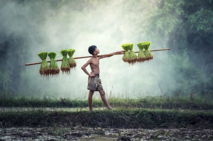 Tour Thailandia e Cambogia: fino a Dicembre 2025 – Partenze a date fisse