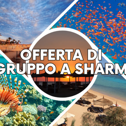 Offerta Gruppo Sharm el Sheikh – 21 gennaio 24