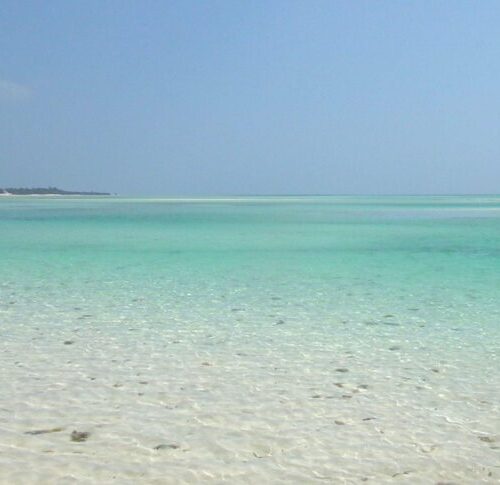 Kenya Tsavo, Amboseli e mare – 1 e 9 Agosto 2026