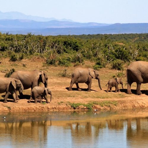 Offerta Sudafrica- Tour Stella Africana 2025