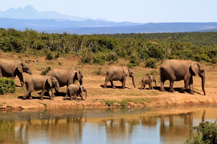 Offerta Sudafrica- Tour Stella Africana 2025