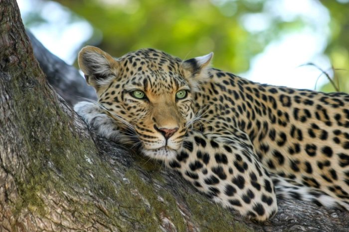 SELF DRIVE  SOUTH AFRICA – 12 Giorni / 11 Notti