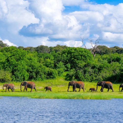 BOTSWANA ” Natura Selvaggia – viaggio di gruppo partenza 3 Dicembre sistemazione in tenda