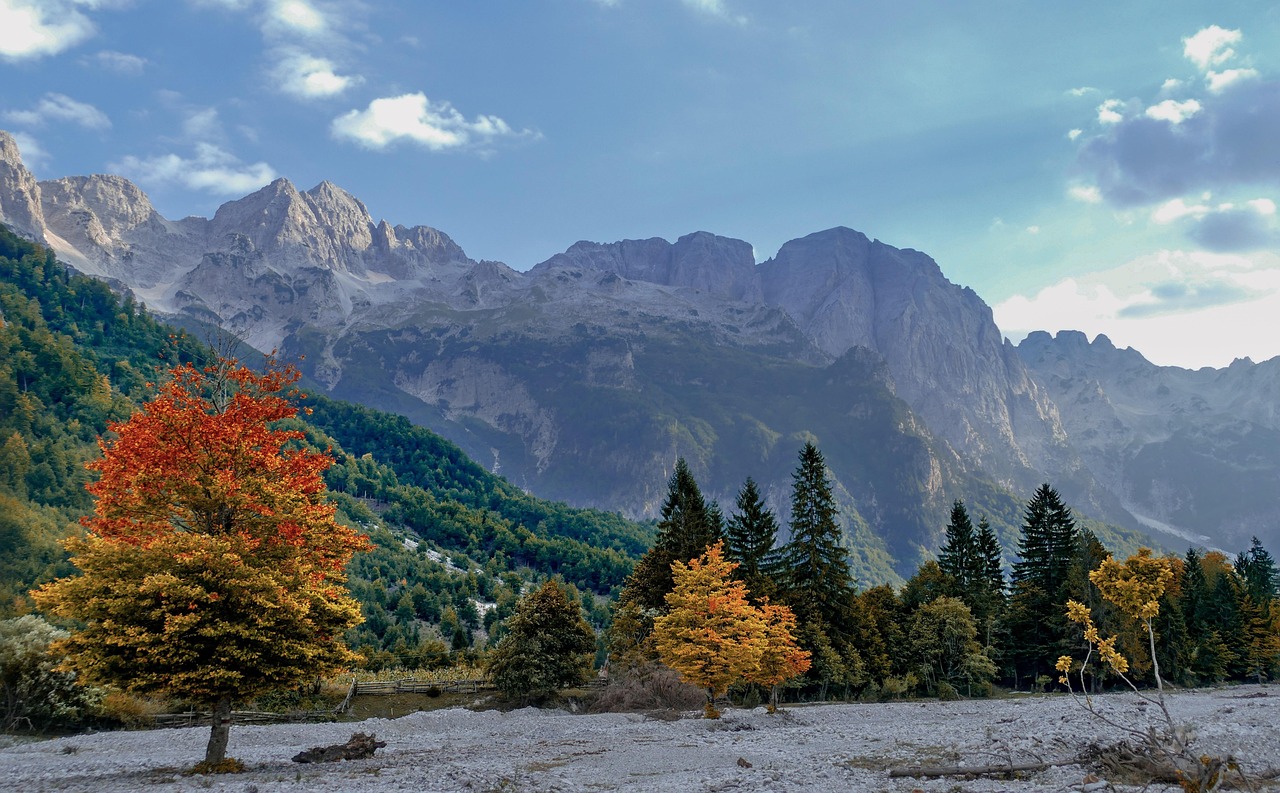 ALBANIA VALONA
