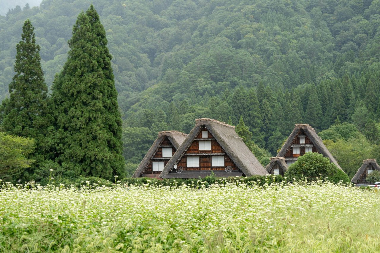 giappone shirakawa