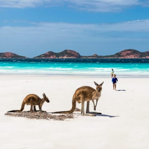 AUSTRALIA Terra dei Canguri – TOUR DI GRUPPO E INDIVIDUALI