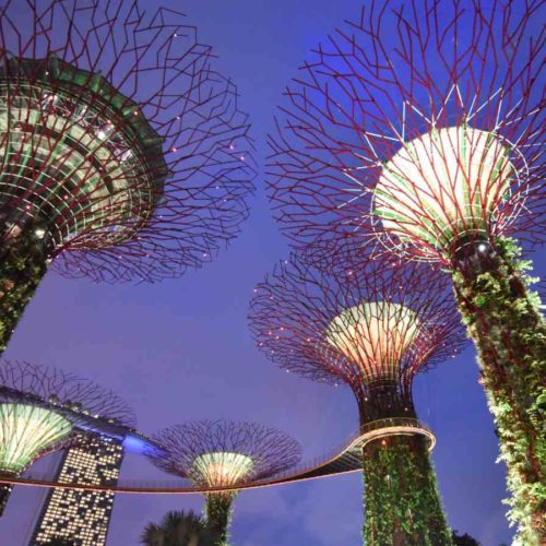 Capodanno 2026 a Singapore e Bintan Island