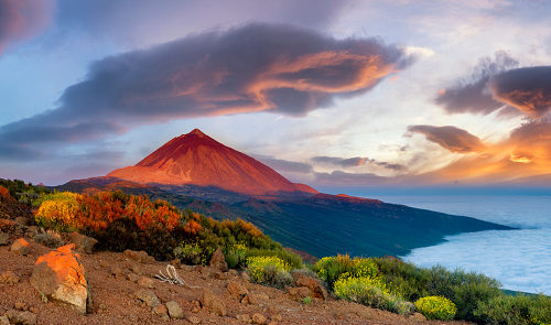 TENERIFE – PLAYA LA CALETA – HOVIMA JARDIN CALETA***