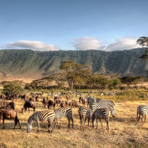 Capodanno 2026 in Tanzania SMART – Partenza 27 Dicembre da Milano