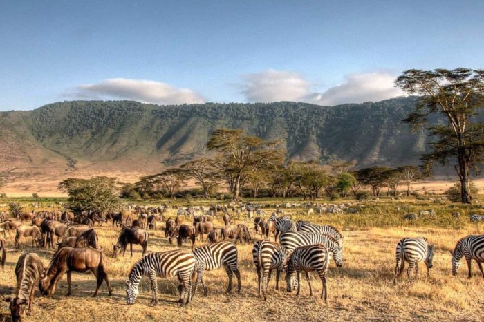 Capodanno 2026 in Tanzania SMART – Partenza 27 Dicembre da Milano