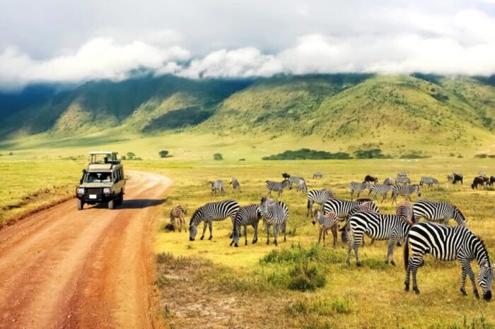 SAFARI DI GRUPPO TANZANIA – 7 giorni/6 notti – PARTENZE GARANTITE DA GIUGNO A DICEMBRE 2026